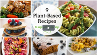 9 Plant-Based Recipes to Enjoy this Spring